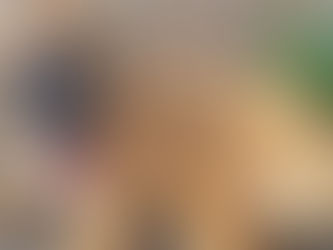 URGENTE: Taquari/RS vive crise de cinomose; doença ataca caninos e pode levar a morte