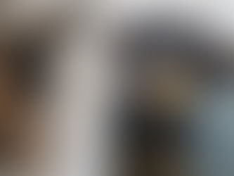 TAQUARI/RS: Xuxa e Bica são castradas através das doações à ONG OS SALVADORES