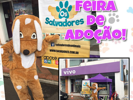 Feira de Adoção é SUCESSO!