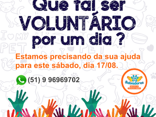 Se voluntarie