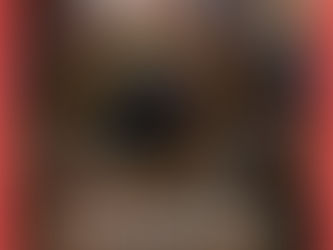 Animal não é diversão