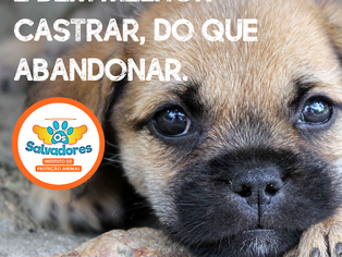 É bem melhor castrar.