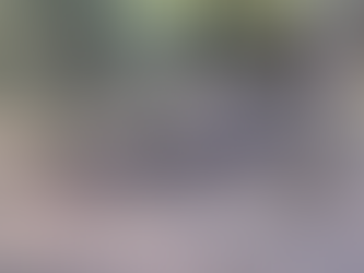 Dias após o Rodeio de Taquari/RS, cavalo é encontrado morto com a pata quebrada