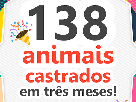 Instituto OS SALVADORES castra 138 animais em três meses. Uma vitória de todos.