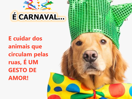 Carnaval 2019