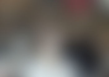 TAQUARI/RS: Cadela vítima de maus tratos é resgatada das ruas prenha e da à luz 3 filhotes