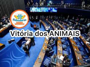 Senado aprova projeto que cria natureza jurídica para os animais