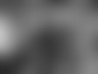 Ativista é agredido em General Câmara/RS, por protestar contra corridas de Boi Cangado