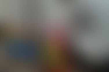 Divina’s & Porções doa mais de 30kg de ração a ONG OS SALVADORES