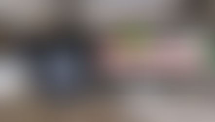 Na íntegra: Projetos sobre PROTEÇÃO ANIMAL apresentados no Executivo e Legislativo de Taquari/RS