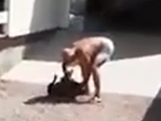 Morador de SC, apelidado de "ESTUPRADOR DE CADELAS", continua atacando