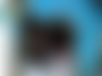 TAQUARI/RS: Cachorrinha comunitária é atropelada e passa por procedimentos veterinários