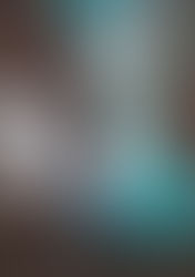 Mortos a pauladas e asfixiados, 14 cães são jogados em terreno baldio em Palmas (PR)