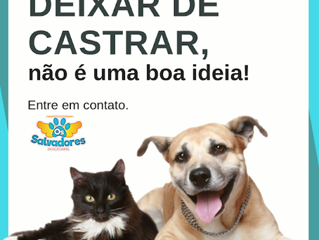Deixar de castrar, não é uma boa ideia.
