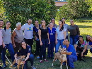 Empresa Duratex e OS SALVADORES, promovem dia especial para os cães em abrigo