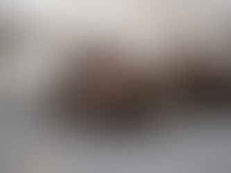 Aprenda a higienizar as patas dos cães após os passeios