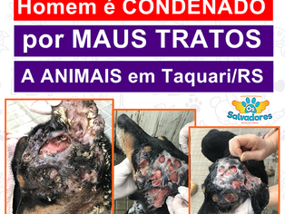 Através da ONG Os Salvadores, homem é CONDENADO por MAUS TRATOS A ANIMAIS em Taquari/RS