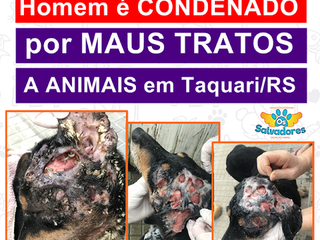 Através da ONG Os Salvadores, homem é CONDENADO por MAUS TRATOS A ANIMAIS em Taquari/RS
