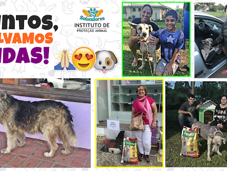 UM DIA MUITO ESPECIAL