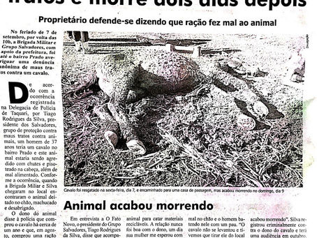 Cavalo é resgatado de maus tratos pela ONG OS SALVADORES e morre dois dias depois