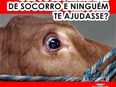 Até quando? ELES NÃO MECEREM ISSO.