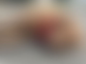 OS SALVADORES: Quem deve recolher animais mortos em pista?