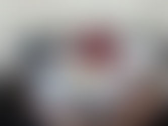 ONG SALVADORES se reúne com o Presidente da Câmara de Vereadores de Taquari/RS