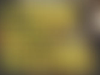 ONG OS SALVADORES participa da 2º Jornada de Direito Animal em Porto Alegre/RS