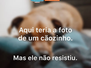 Ele não resistiu