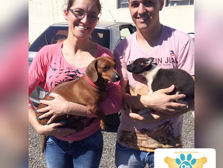 Nova integrante da Família