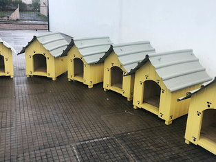 ONG OS SALVADORES compra casinhas para cães de rua de Taquari e Tabaí, provindo de doações
