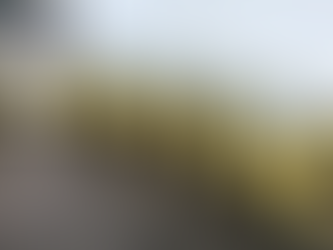 ONG OS SALVADORES compra casinhas para cães de rua de Taquari e Tabaí, provindo de doações