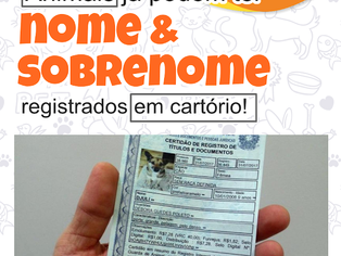 No Rio Grande do Sul, já é possível registrar um animal com nome e sobrenome em Cartório
