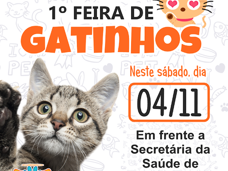 1° Feira de Gatinhos