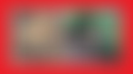 Instituto OS SALVADORES, verifica série de denúncias em Taquari/RS; todas envolve ANIMAIS