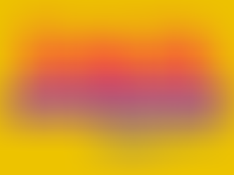 Neste sábado (30/03), tem Feira de Adoção de Animais da ONG OS SALVADORES