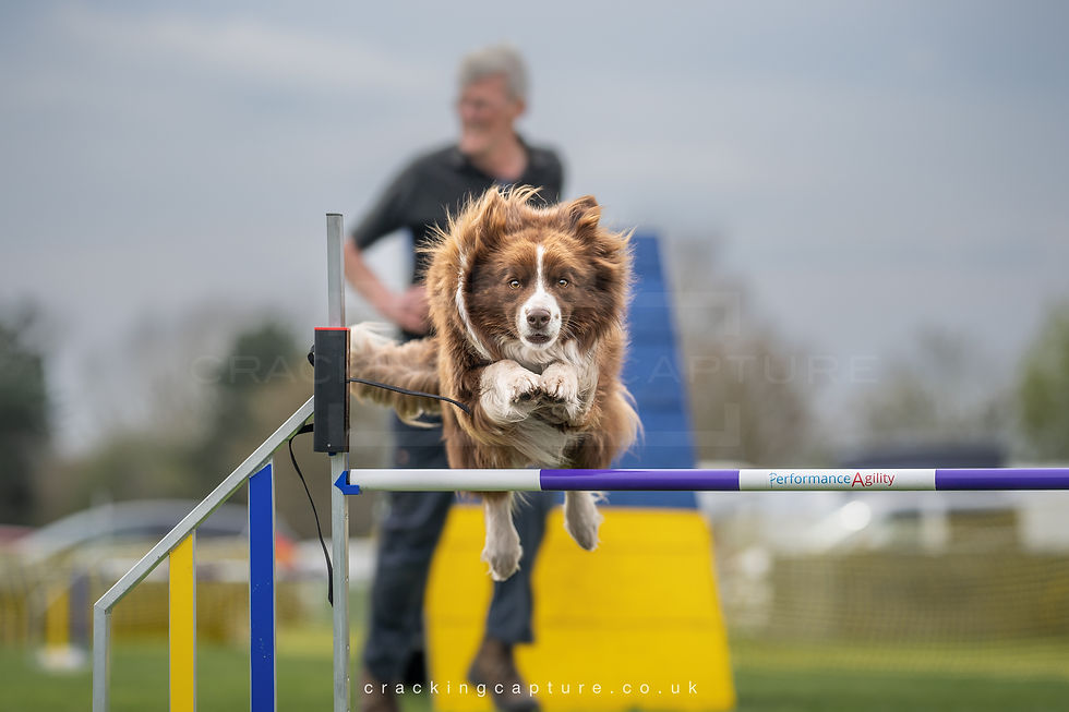DSC03008 Website.jpg