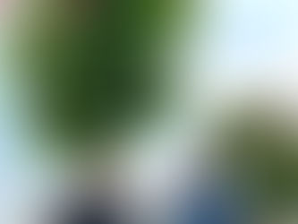 目を引くのは…?
