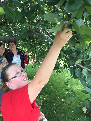 Developmental disabilities socializing