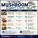 Mushrooms, Mushrooms Everywhere!