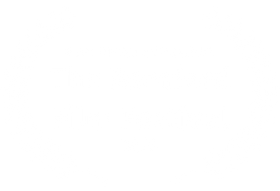 BEST DIRECTOR NOMINEE - The Romford Film Festival - 2023.png