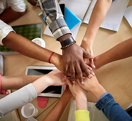 Wix Gallery Folder (16).png