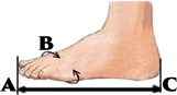 Стопа для размера.png