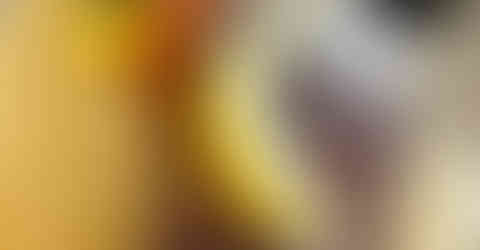 Catch of the day with mashed potato and local vegetables