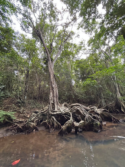 Indian River