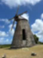 The North Mill Tower at Betty's Hope