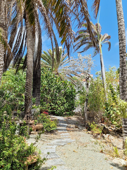 Tropical gardens