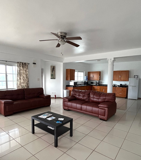 Open plan living room/kitchen