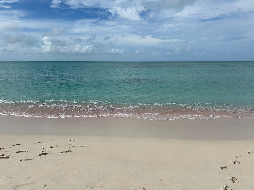 Pink sand beach in Barbuda
