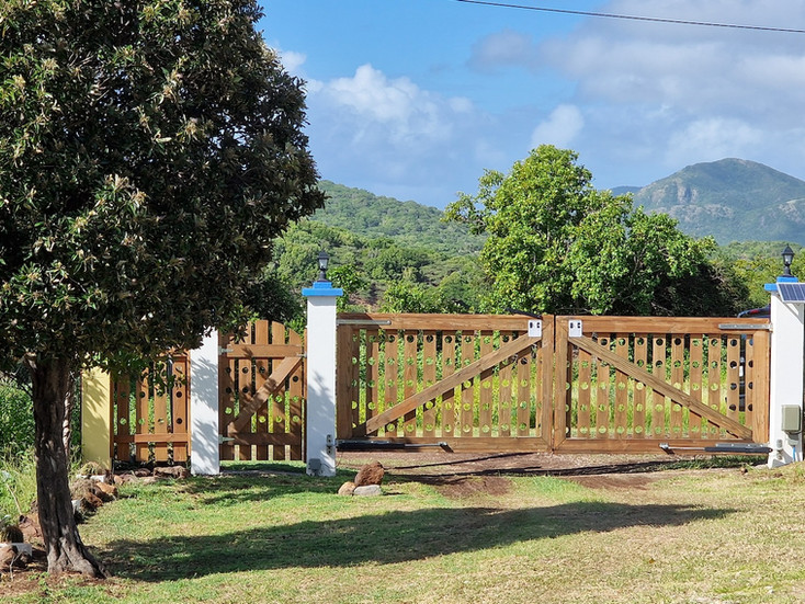 Electric security gate